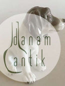 Heubach Porcelæn Figur af Hund