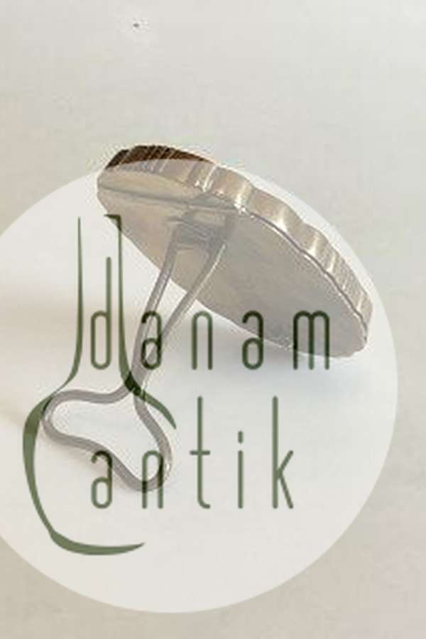 Billedramme af messing. Mogens Ballin/Siegfried Wagner