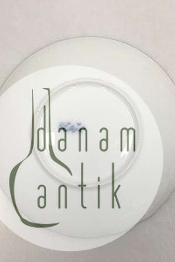 Rørstrand Mindeplatte fra 1901