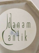 Bing Grondahl Siegfried and Olga Wagner花瓶