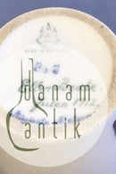 Bing Grondahl Unika有盖花瓶，装饰有浆果和种子头