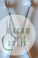 Georg Jensen Sterling Silver Ice Tongs