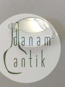 Georg Jensen Skål med muslinge håndtag i Sterling Sølv 355D