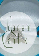 Georg Jensen Sterling Silber Ring Nr. 46B