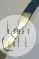 Georg Jensen Sterling Sølv/Stål Pyramide Ostekniv No 221