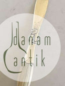 Georg Jensen纯银Brevåbner 128号，手柄为象牙色。