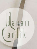 Georg Jensen Sterling Sølv Blok Frugtkniv No 072