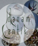 Royal Copenhagen Earclips in porcelain