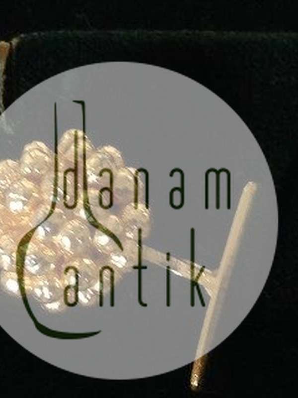 Flora Danica Manchetknapper sterling sølg og guld