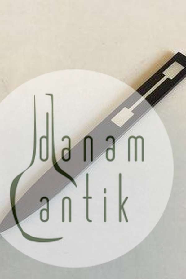 Hans Hansen Palisander med sølvindlæg Brevkniv