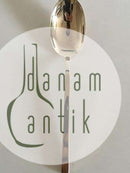 Sigvard Bernadotte Scanline Löffel aus Bronze