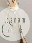 "Anne Marie" Dessert Spoon. Frigast Silverplate Denmark