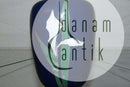 Royal Copenhagen Art Nouveau Vase af Anna Smith fra Juni 1890