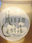 Royal Copenhagen Art Nouveau Vase No 2161/1906