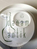 Royal Copenhagen Art Nouveau Tea Cup and Saucer No. 2322/9067