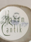 Royal Copenhagen Art Nouveau Miniature Vase with Flower Motif No 1729/1057