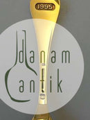 Georg Jensen Årsske 1995 i forgyldt Sterling Sølv med emalje