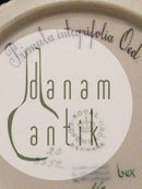 皇家哥本哈根Flora Danica侧盘No 3552