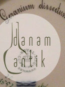 Royal Copenhagen Flora Danica Sidetallerken No 3552