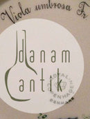 Royal Copenhagen Flora Danica Sidetallerken No 3552