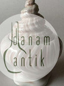 Royal Copenhagen Pink Triton Sugar Bowl No 14174