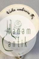 Royal Copenhagen Flora Danica Sahnekännchen Nr. 20/3626 oder 394