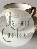 Royal Copenhagen Flora Danica Kaffekop og Underkop No 20/3597