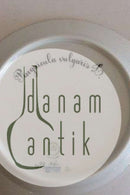 Royal Copenhagen Flora Danica Salatteller Nr. 20/3573