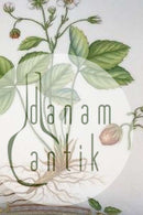 Royal Copenhagen Flora Danica Tray No 20/3564