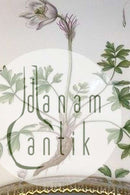 Royal Copenhagen Flora Danica Tray No 20/3564