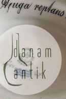 Royal Copenhagen Flora Danica Schlafende Kanne mit Untertasse Nr. 3556