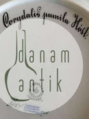 ロイヤルコペンハーゲン フローラダニカ ランチプレート No 20/3554 透かし彫りエッジ付き