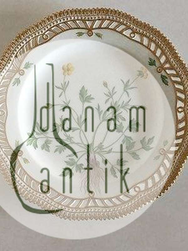 Royal Copenhagen Flora Danica Frokost Tallerken med Gennembrudt Kant No 3554
