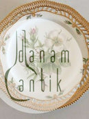 Royal Copenhagen Flora Danica Mittagsteller mit durchbrochenem Rand Nr. 3554