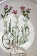 皇家哥本哈根Flora Danica午餐盘，编号20/3554，带穿孔边缘