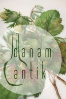 Royal Copenhagen Flora Danica Frugttallerken No 429/3554.