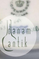 Royal Copenhagen Flora Danica Gennembrudt Middagstallerken No 20/3553