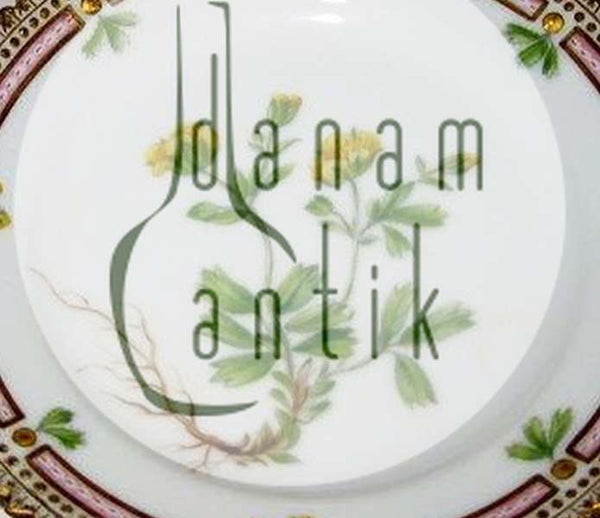 アンティーク・ロイヤルポーセリン・フローラ・ダニカ・サイドプレート