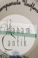 Royal Copenhagen Flora Danica Plate No 20/3552