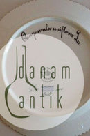 Royal Copenhagen Flora Danica Dessert Plate No 20/3551