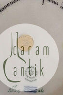 Royal Copenhagen Flora Danica Mittagessen Teller Nr. 20/3550 neue Nummer 622