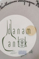 Royal Copenhagen Flora Danica Mittagessen Teller 20/3550 neue Nummer 622