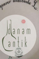 Royal Copenhagen Flora Danica Lunch Plate No 3550