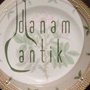 Royal Copenhagen Flora Danica Speiseteller Nr. 3549