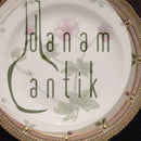 Royal Copenhagen Flora Danica Speiseteller Nr. 3549