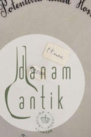 Royal Copenhagen Flora Danica Speiseteller Nr. 3549