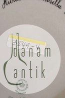 Royal Copenhagen Flora Danica Essteller Nr. 20/3549