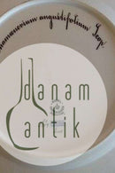 ロイヤルコペンハーゲン フローラダニカ ディナープレート No 20/3549