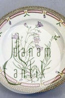 ロイヤルコペンハーゲン フローラダニカディナープレート No 20/3549