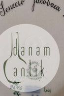 Royal Copenhagen Flora Danica deep Plate No 3546